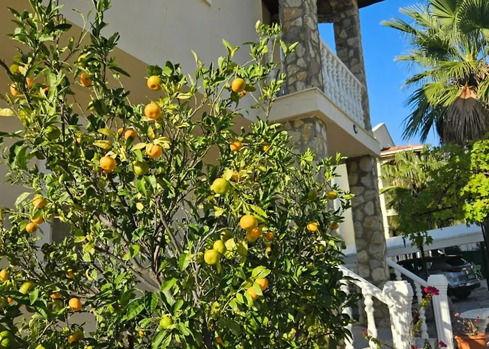 Belle ,fethiye Вилла